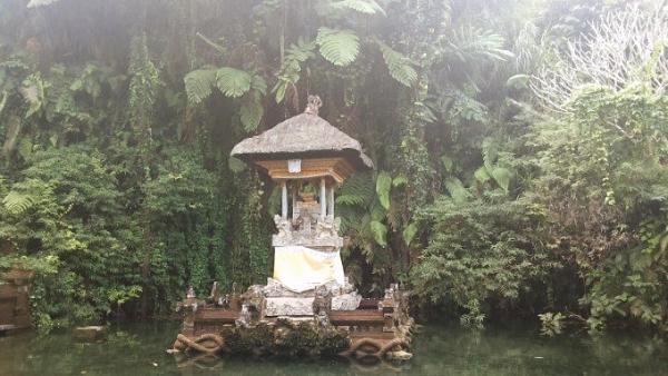 11月〜3月が雨季のバリ！通好みの雨季の魅力とは