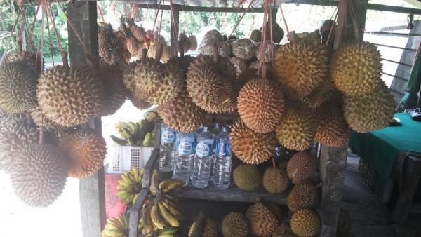 11月〜3月が雨季のバリ！通好みの雨季の魅力とは