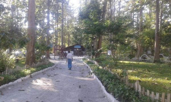 ミャンマーで象と触れ合おう「ポーチャー・エレファント・キャンプ」