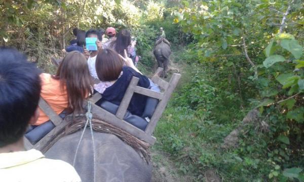 ミャンマーで象と触れ合おう「ポーチャー・エレファント・キャンプ」