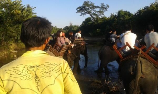 ミャンマーで象と触れ合おう「ポーチャー・エレファント・キャンプ」