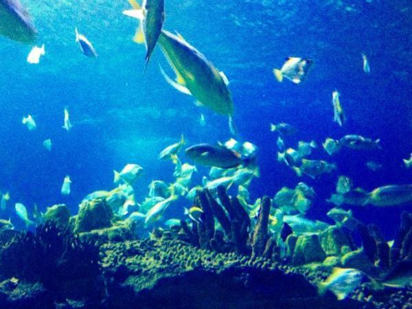 【年末スペシャル】人気記事ランキング　クアラルンプール編