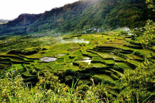 【旅を深めるミニ講座】心の旅には山岳地帯がいい！フィリピン映画コンビに聞くとっておき旅先