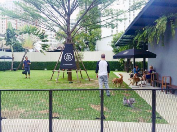 【バンコクおしゃれローカル HOT PICK!】隠れ家的ドッグ・カフェでリラックス