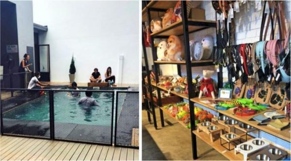 【バンコクおしゃれローカル HOT PICK!】隠れ家的ドッグ・カフェでリラックス