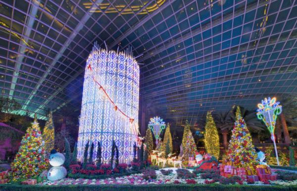 美しい光の競演！植物園で開催中の「Christmas Wonderland」にルミナリエが出現