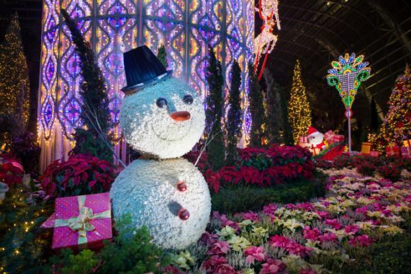 美しい光の競演！植物園で開催中の「Christmas Wonderland」にルミナリエが出現