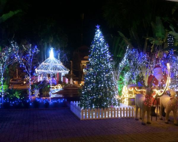 Merry Xmas！！常夏の国から届いた南国クリスマスを一挙紹介