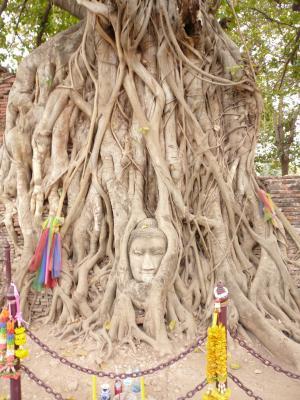 私たちに求められる「世界遺産への責任と義務」