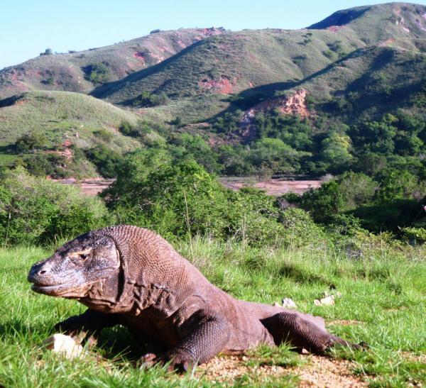 私たちに求められる「世界遺産への責任と義務」
