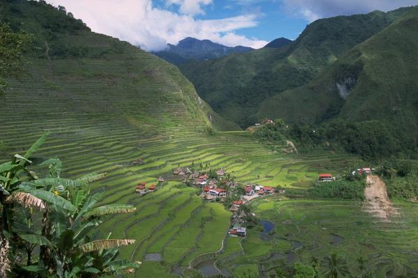 私たちに求められる「世界遺産への責任と義務」
