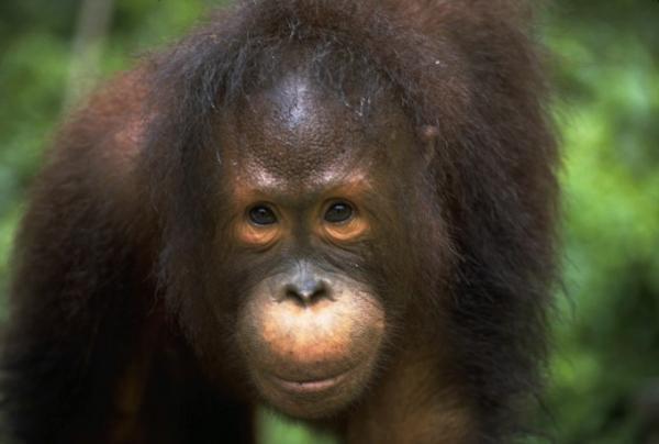 2015年は世界で走ろう！今年参加したい南国マラソン大会をチェック！　〜春夏編〜