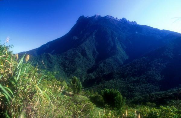 2015年は世界で走ろう！今年参加したい南国マラソン大会をチェック！　〜春夏編〜