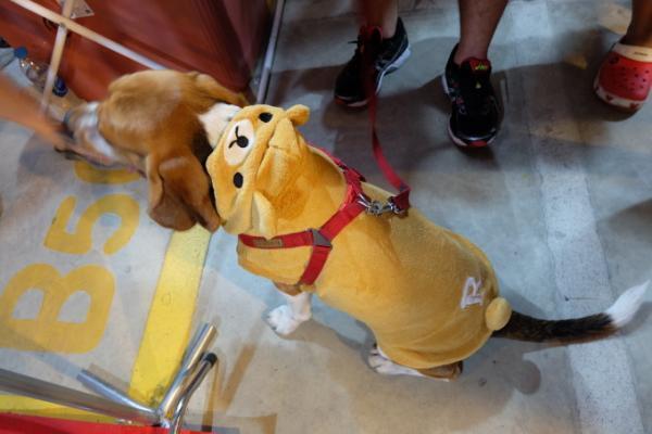 駅チカでコンパクトなナイトマーケット！タラートロッファイ・ラチャダー