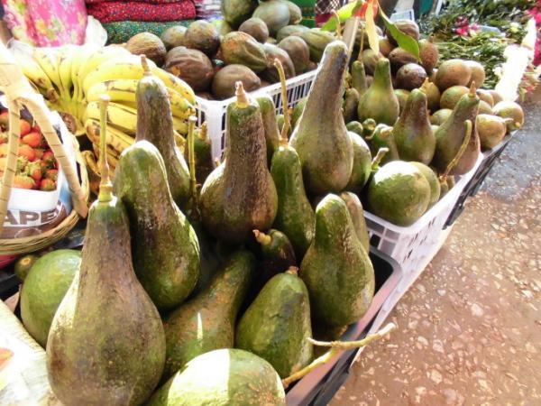 心身ともにデトックス効果絶大！ミャンマーでトレッキング♪