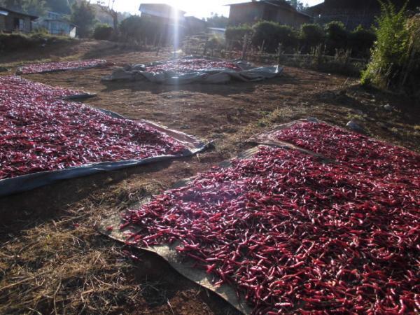 心身ともにデトックス効果絶大！ミャンマーでトレッキング♪