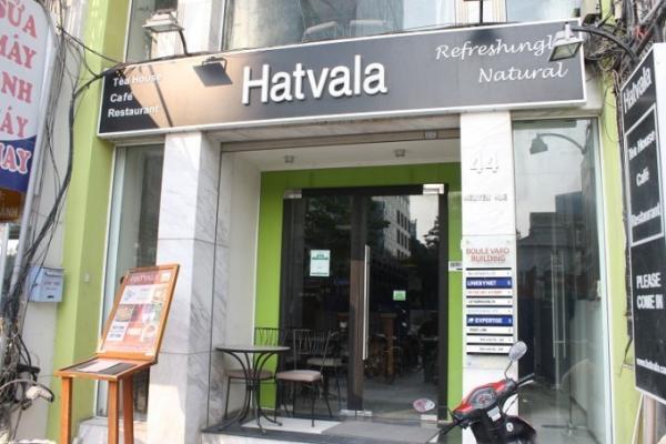 ベトナム美人の秘訣！？美容と健康に効くベトナム茶とおすすめのお茶専門店をご紹介