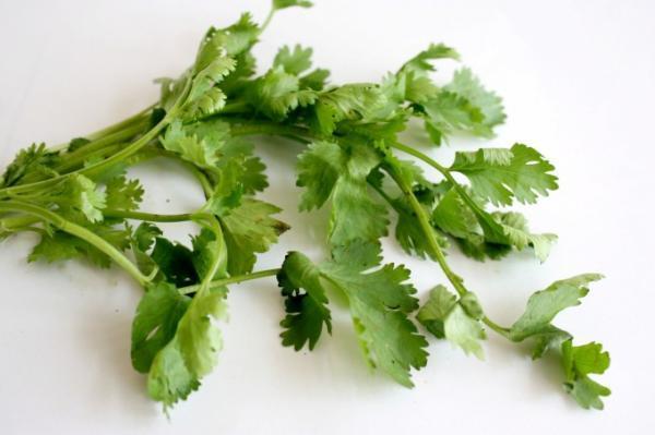 ベトナム料理をさらに美味しくするハーブとは？