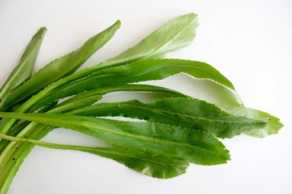 ベトナム料理をさらに美味しくするハーブとは 15年5月1日 ウーマンエキサイト 1 2