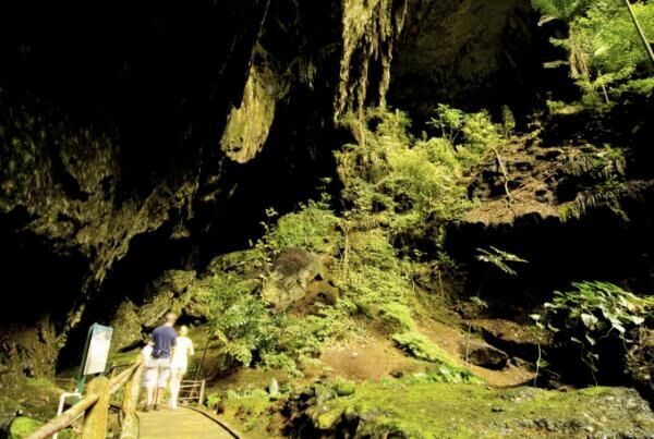 マレーシアの世界自然遺産で登山や洞窟探検を楽しもう！