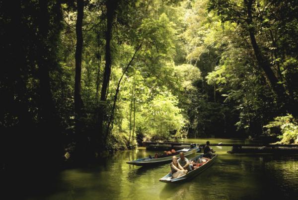 マレーシアの世界自然遺産で登山や洞窟探検を楽しもう！