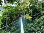 マレーシア森林研究所で熱帯雨林を散策しよう！