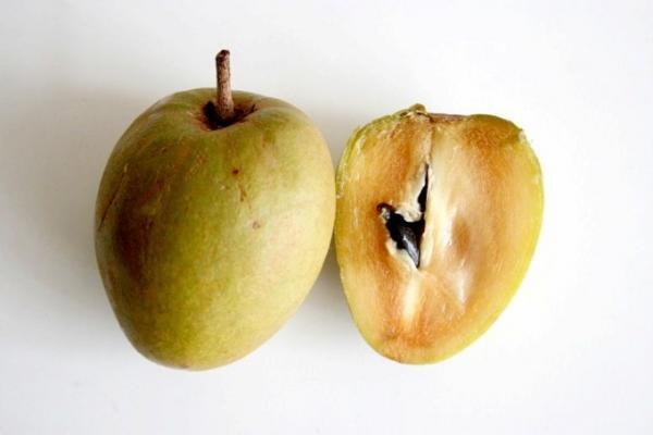 ベトナムの南国フルーツを満喫するために知っておきたいコト