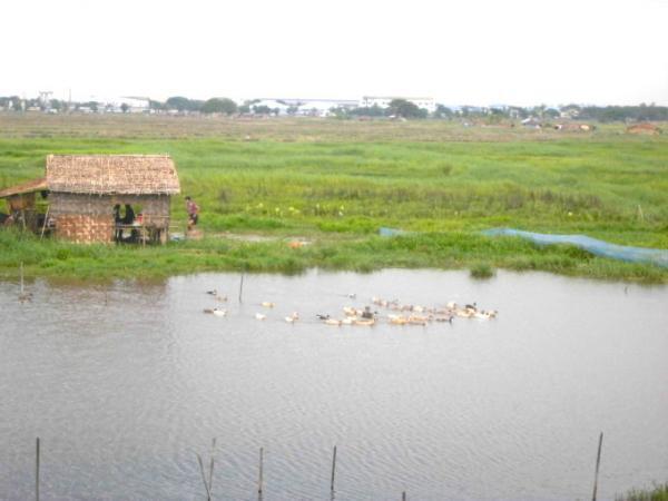ミャンマー・ヤンゴンで、ぶらり途中下車の旅