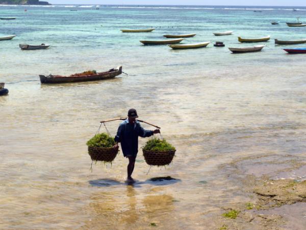 おなじみのビーチから半歩先に待つ、穴場な絶景ビーチ