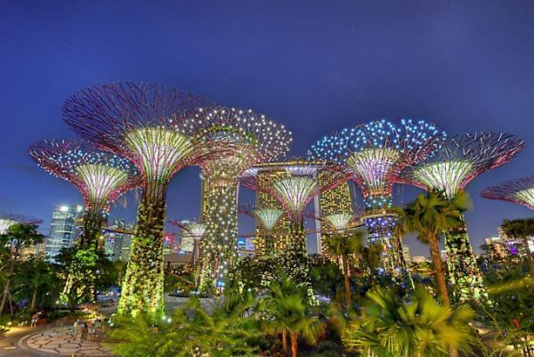 シンガポール独立50周年をみんなで祝おう！