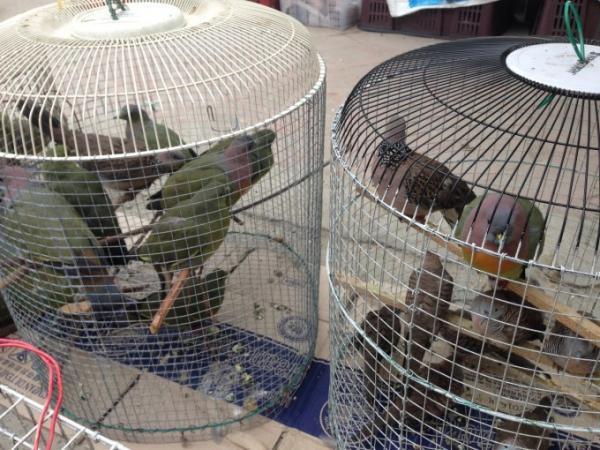 ブルネイは金曜日と日曜日が国民の休日！