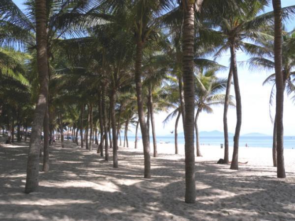 5万円を切る5日間ツアーも！この夏行くべきは、ベトナム・ビーチ