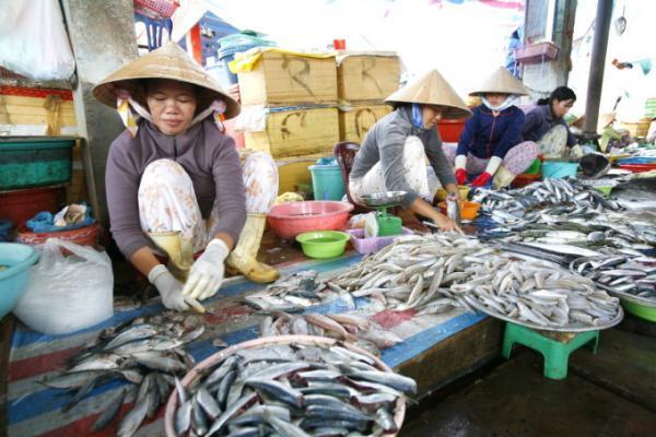 5万円を切る5日間ツアーも！この夏行くべきは、ベトナム・ビーチ