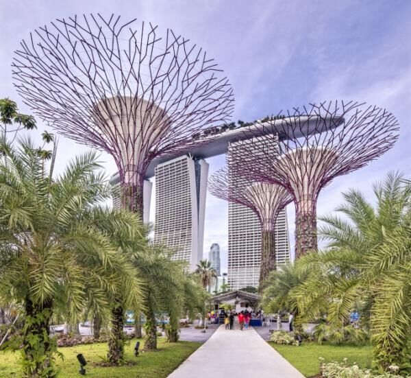 シンガポールの近未来植物園「ガーデンズ・バイ・ザ・ベイ」
