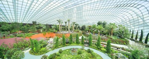 シンガポールの近未来植物園「ガーデンズ・バイ・ザ・ベイ」