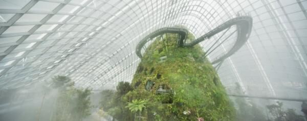 シンガポールの近未来植物園「ガーデンズ・バイ・ザ・ベイ」