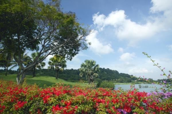 都会のオアシス！世界遺産「シンガポール ボタニックガーデン」