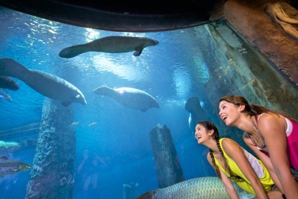 淡水生物とパンダが主役！シンガポール「River Safari（リバーサファリ）」