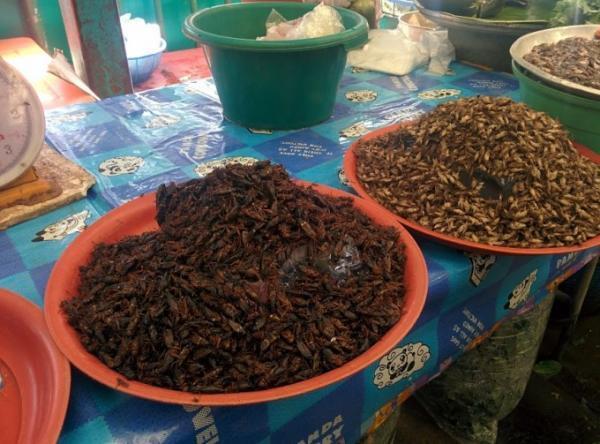 広がるディープな世界！バンコクでローカル市場見学