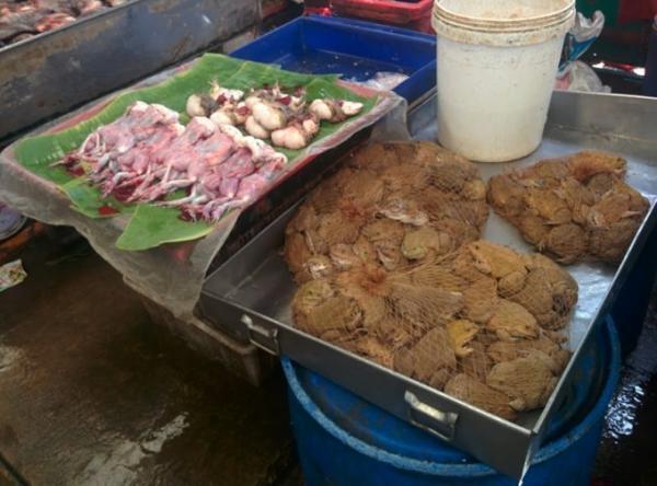 広がるディープな世界！バンコクでローカル市場見学