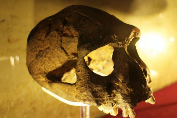 神々の棲むインドネシアの島々に点在する世界文化遺産