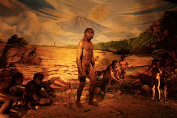 神々の棲むインドネシアの島々に点在する世界文化遺産