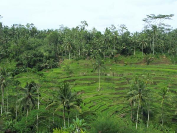 神々の棲むインドネシアの島々に点在する世界文化遺産