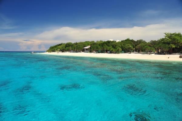 ダイバーから改めて注目を集める「フィリピン・ボホール島」