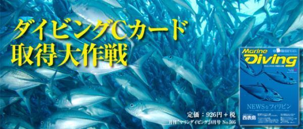 ダイバーから改めて注目を集める「フィリピン・ボホール島」