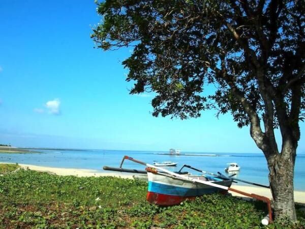 スンバワ島 極上波の宝庫「レイキーピーク」に挑む