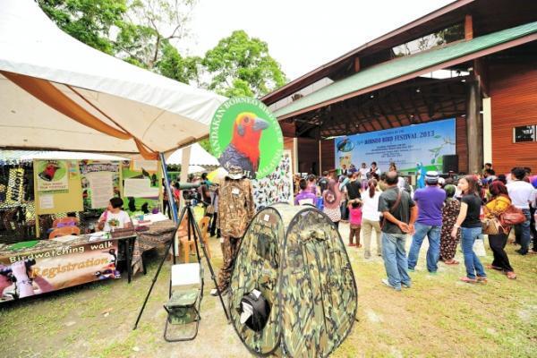 鳥が主役の祭典「バード・フェスティバル」ボルネオ島で開催