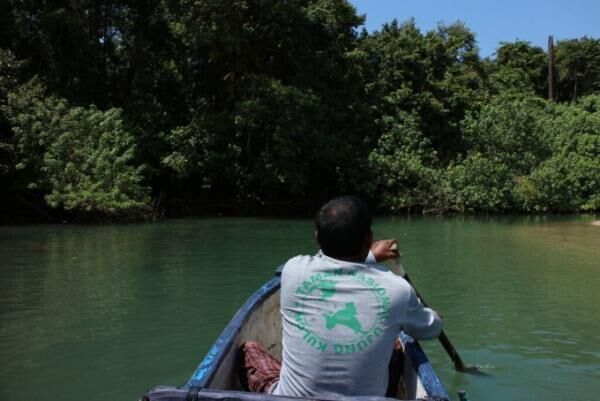 インドネシアの自然遺産はコモドドラゴンにオランウータンと動物祭り！