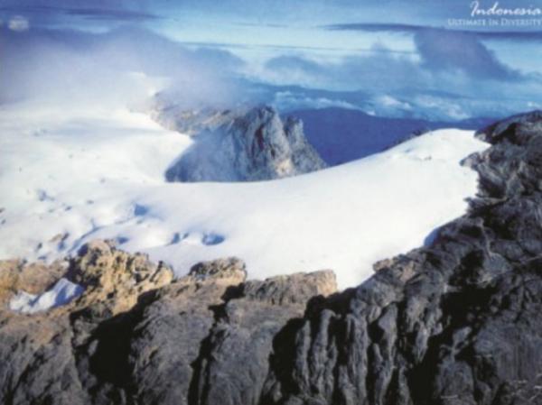 インドネシアの自然遺産はコモドドラゴンにオランウータンと動物祭り！