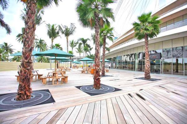 世界一の高さから街を一望「シンガポール・フライヤー」